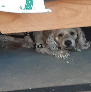 Meet your Posher, K-t